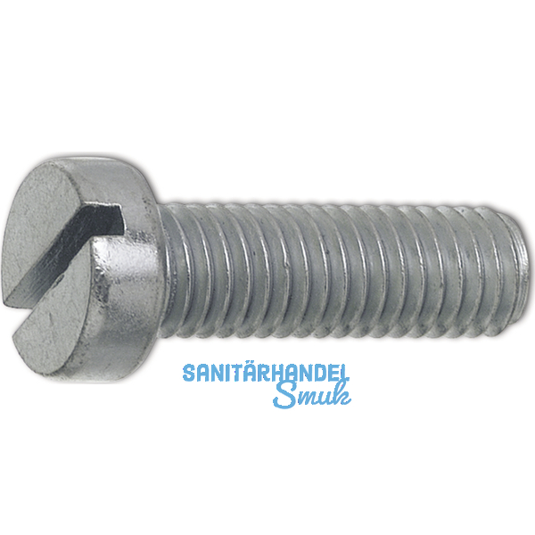 ~ISO1207 4.8 M 5x 35 verzinkt Zylinderschraube mit Schlitz (DIN 84A)