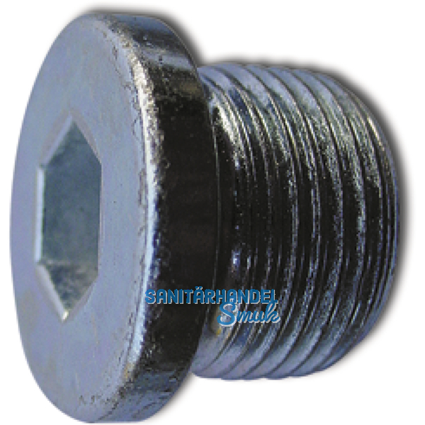 DIN 908 5.8 G 1/4" blank Verschlussschraube zylindrisches Rohrgewinde