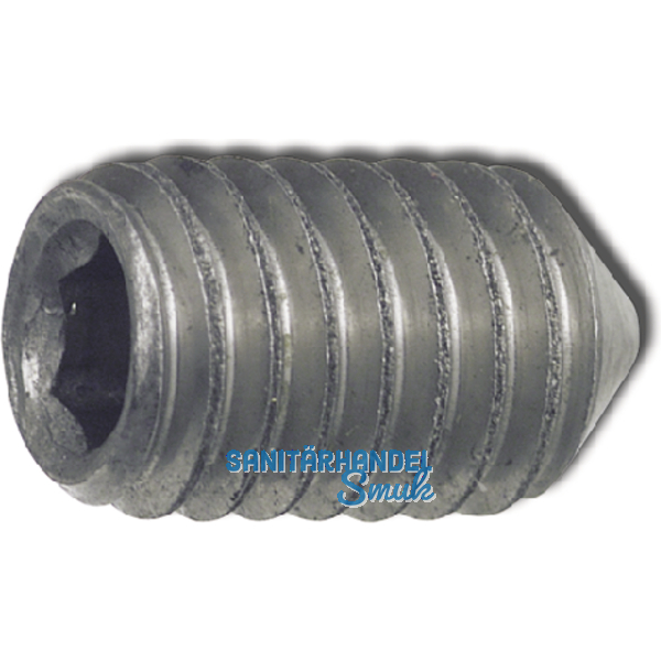 ISO4027 M 6x 8 Edelstahl A2 Gewindestift mit Spitze Innensechskant (DIN 914)