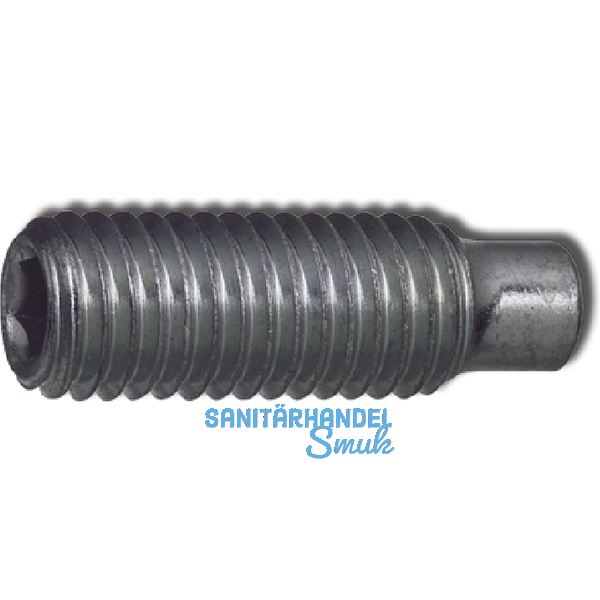 ISO4028 45H M 4x 12 blank Gewindestift mit Zapfen und Innensechskant (DIN 915)