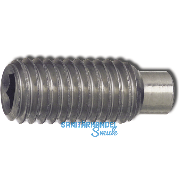 ISO4028 M 5x 10 Edelstahl A2 Gewindestift mit Zapfen Innensechskant (DIN 915)