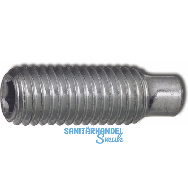 ISO4028 45H M 5x 6 verzinkt Gewindestift mit Zapfen Innensechskant (DIN 915)