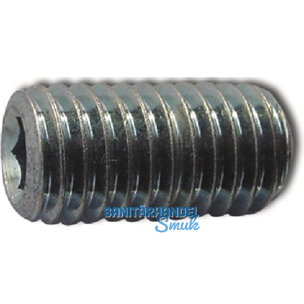 ISO4029/DIN916 45H M 6x 12 blank Gewindestift mit Ringschneide und Innensechskt.