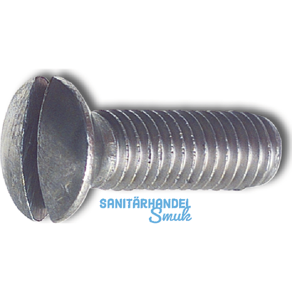 DIN 964A M 5x 25 Edelstahl A4 Linsenschraube mit Schlitz