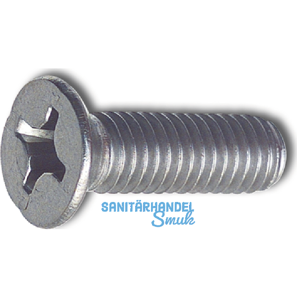 ~ISO7046-2 M 4x 12 Phillips Kreuzschlitz Edelstahl A2 Senkschraube (DIN 965A)