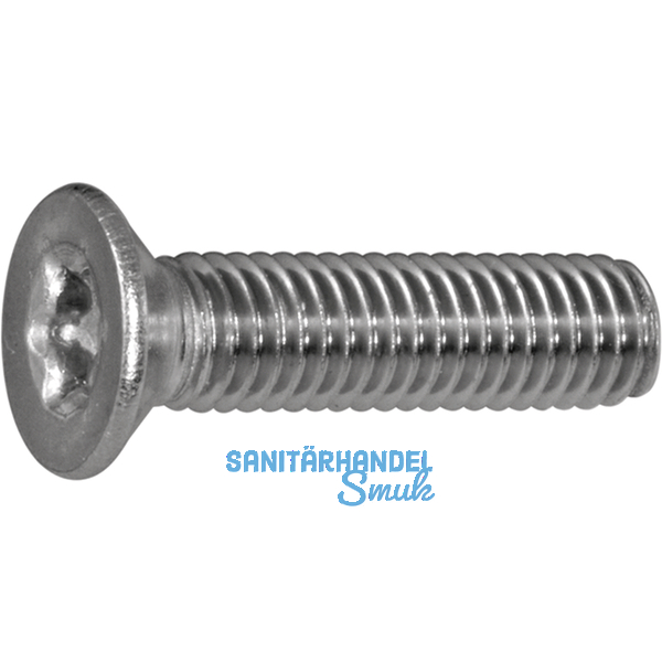 ISO14581 M 6x 40 Torx 30 Edelstahl A2 Senkschraube