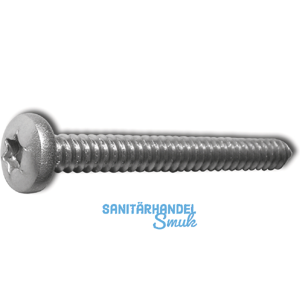 DIN7981C 2.9x9.5 Torx 8 Edelstahl A2 Linsen-Blechschraube ~ISO14585