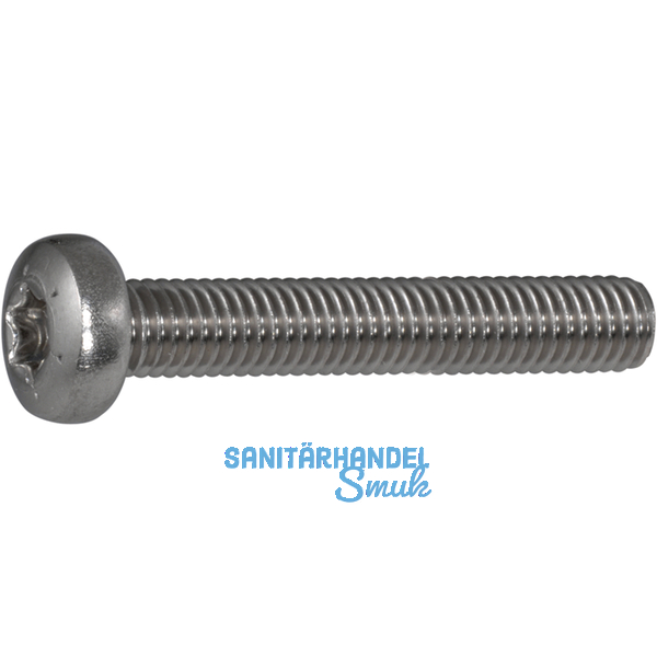 ISO14583 M 4x 35 Torx 20 Edelstahl A2 Linsenschraube (DIN7985A)