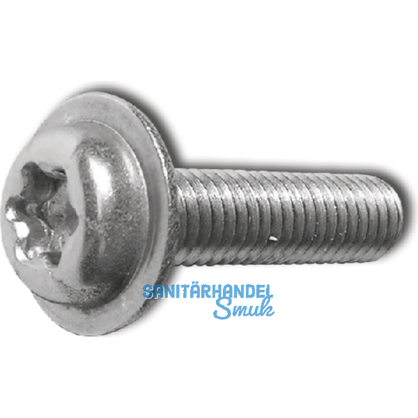 ecosyn-fix M 4x 8 Torx 20 Edelstahl A2 Flanschschraube fr Apparatebau
