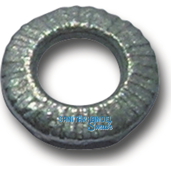 Erdungsscheibe M12 verzinkt