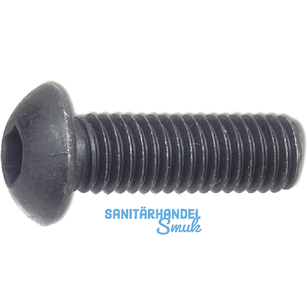 ISO7380-1 10.9 M 5x20 blank Linsenschraube mit Innensechskant