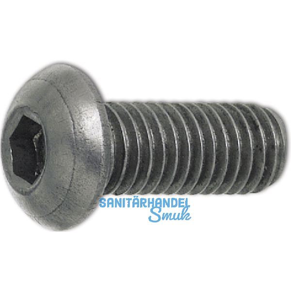 ISO7380-1 M 5x 35 Edelstahl A2 Linsenschraube mit Innensechskant