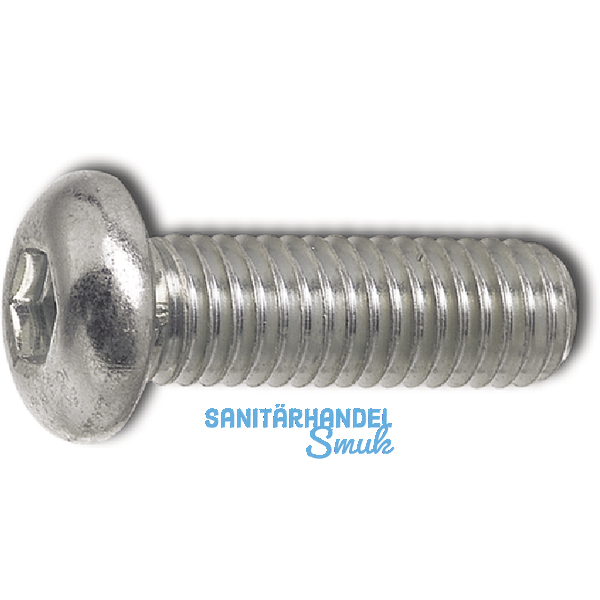 ~ISO7380 8.8 M 4x 6 Torx 20 verzinkt Linsenschraube