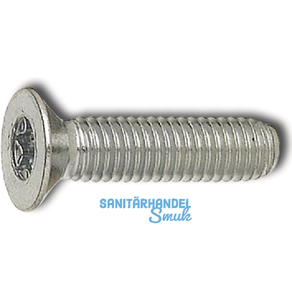 ISO14581 8.8 M 6x45 Torx 30 verzinkt Senkschraube