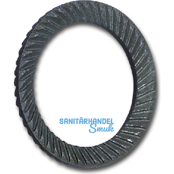 SCHNORR Sicherungsscheibe "S" M12 Federstahl blank