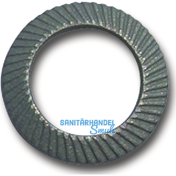 SCHNORR Sicherungsscheibe "S" M 3 Federstahl mechanisch verzinkt