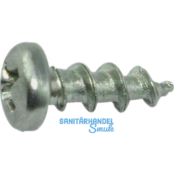SFS-SPT/14 Beschlagschraube Halbrundkopf 4.3x20 PH 2 Stahl silber f.Kunststoffpr