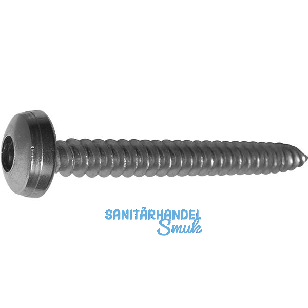 Spanplattenschraube Halbrundkopf 4.5x 30 Vollgewinde Torx 20 Edelstahl A2