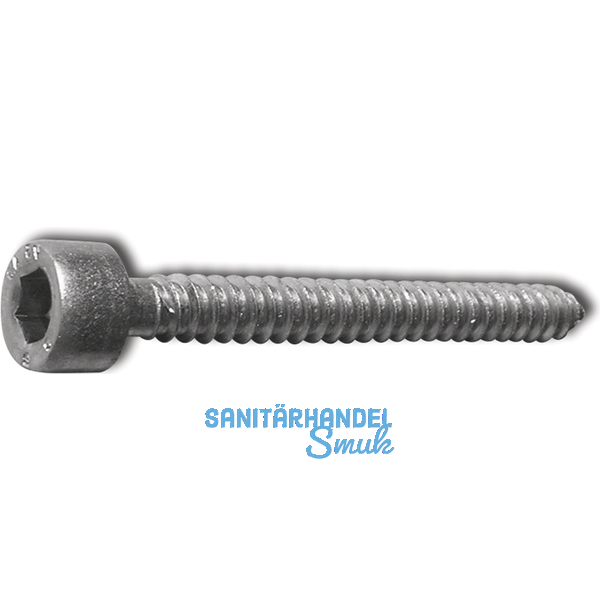 Blechschraube 4.8x19 Edelstahl A2 mit Zylinderkopf ~912