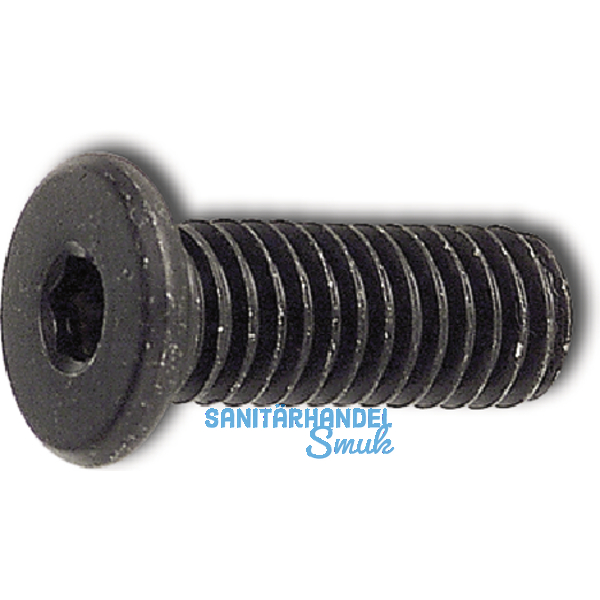 Zylinderschraube mit extrem niedrigem Kopf M 6x 20 Gte 10.9 geschwrzt