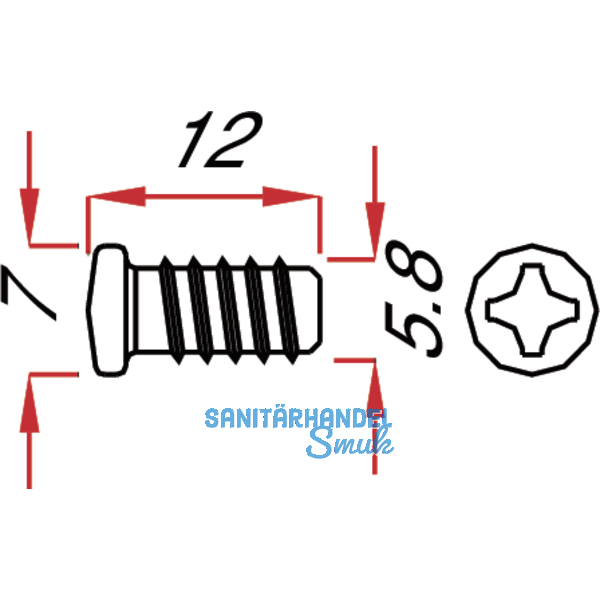 Befestigungsschraube - Euroschraube 6 x 10.5 mm, vernickelt, VPE 100 ST