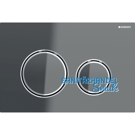 GE Bettigungsplatte Sigma21 2-Menge