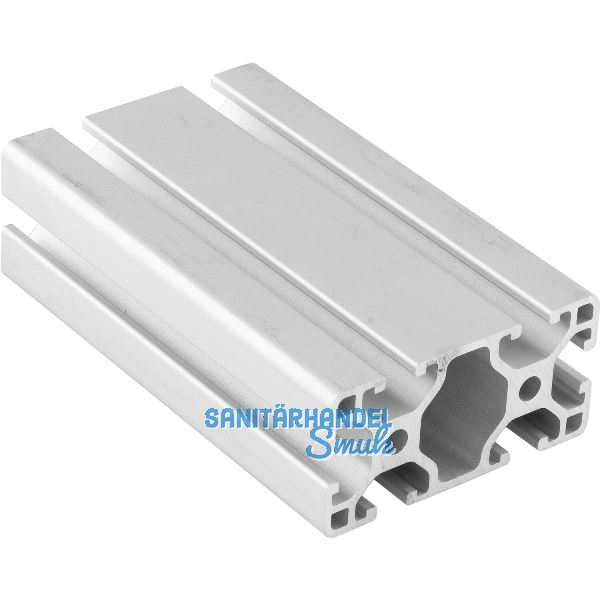 Aluminium Nutprofil ISP Nut 6 L61 leicht 60 x 30 mm 6 Nuten