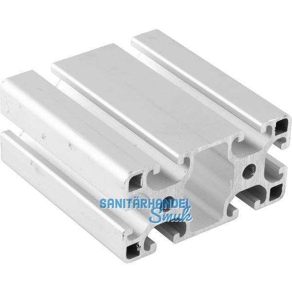 Aluminium Nutprofil ISP Nut 8 L81 leicht 80 x 40 mm 6 Nuten