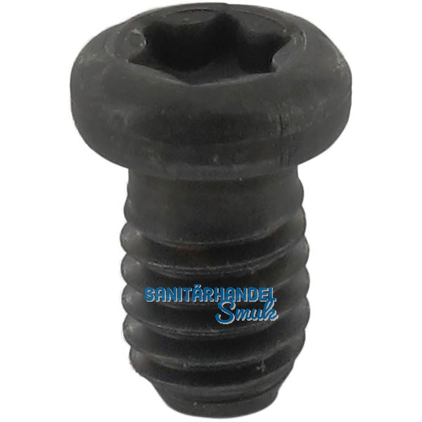 ENT Rundkopfschraube M4x6 mm zu Wepla Abrundfr�ser