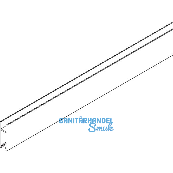 VITRIS Atrivant 80 Laufschuhprofil 8/10 mm Glas Alu Antharzit RAL 7016 L=4000 mm