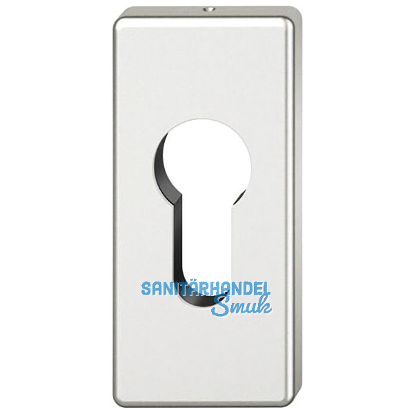 FSB Zylinderrosette 17 1778 eckig, Aluminium silber eloxiert