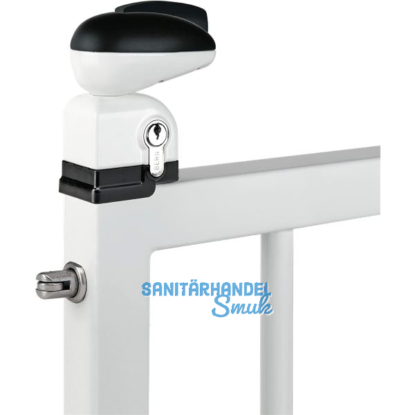 Gittertor-Schwimmbadtorschloss TWIST40, f�r 40mm Profile, inkl. Zylinder,RAL9005