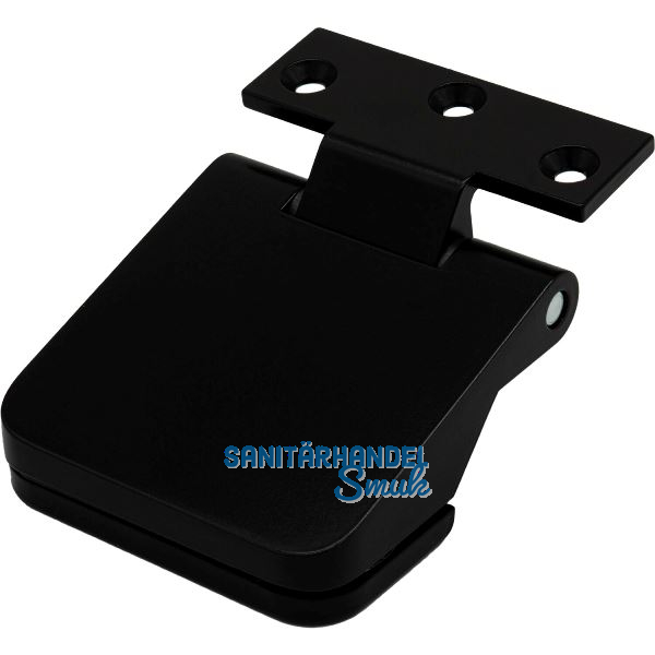 DORMA-Glas T�rband m.Rahmenteil Junior Office 11.239,Glas 8-10mm,schwarz matt