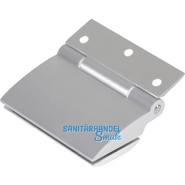 DORMA-Glas T�rband m. Rahmenteil Arcos Office 25.451,Glas 8-10mm,silber eloxiert