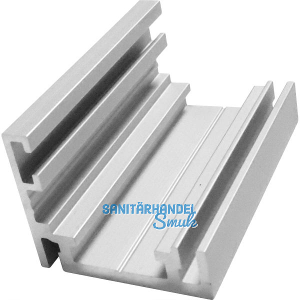 Basisprofil 41AL-Frame-D silber eloxiert