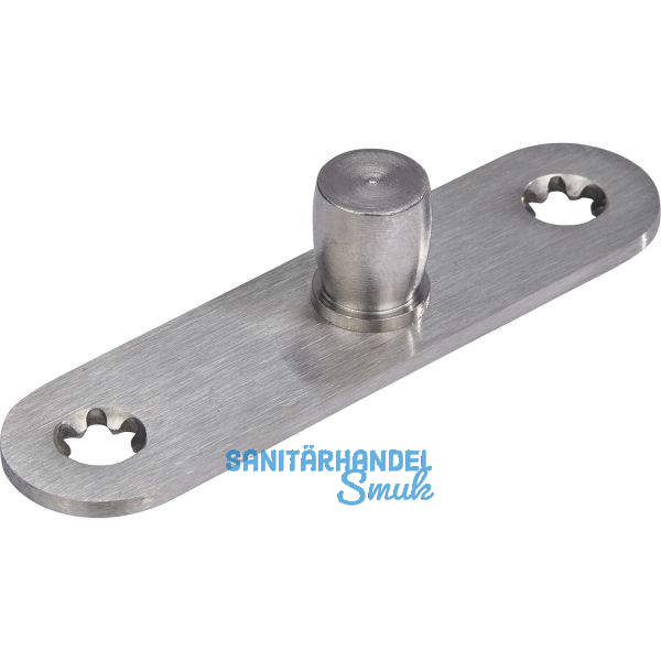 DORMA-Glas Zapfen PT24, � 15 mm, m. Anschraublasche , silber eloxiert (01.123)