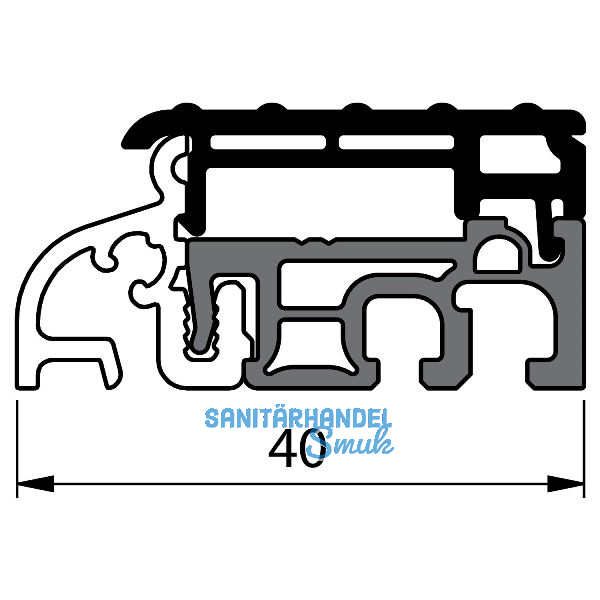 Balkont�rschwelle EIFEL TB-40, 6000 mm, silber eloxiert/schwarz