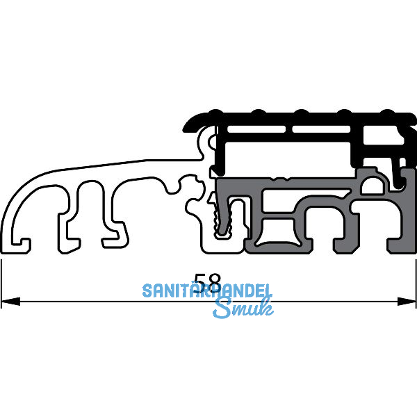 Balkont�rschwelle EIFEL TB-58, 6000 mm, silber eloxiert/schwarz