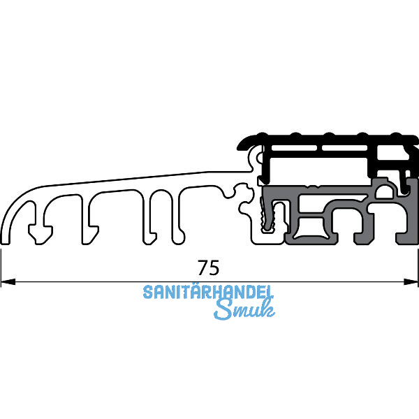 Balkont�rschwelle EIFEL TB-75, 6000 mm, silber eloxiert/schwarz