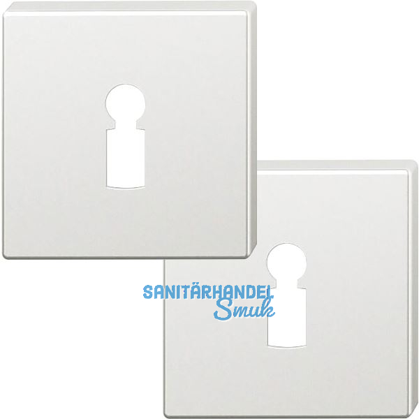 FSB Buntbartrosette quadratisch 12 1704 00002 ASL, Aluminium silber eloxiert