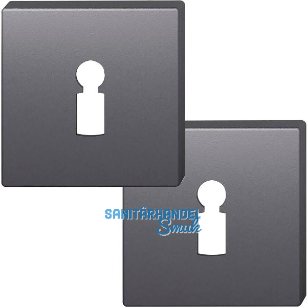 FSB Buntbartrosette quadratisch 12 1704 00002 ASL, Aluminium schwarz matt