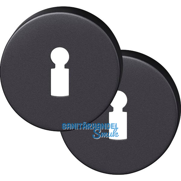 FSB Buntbartrosette rund 12 1735 00002 ASL, Aluminium schwarz matt