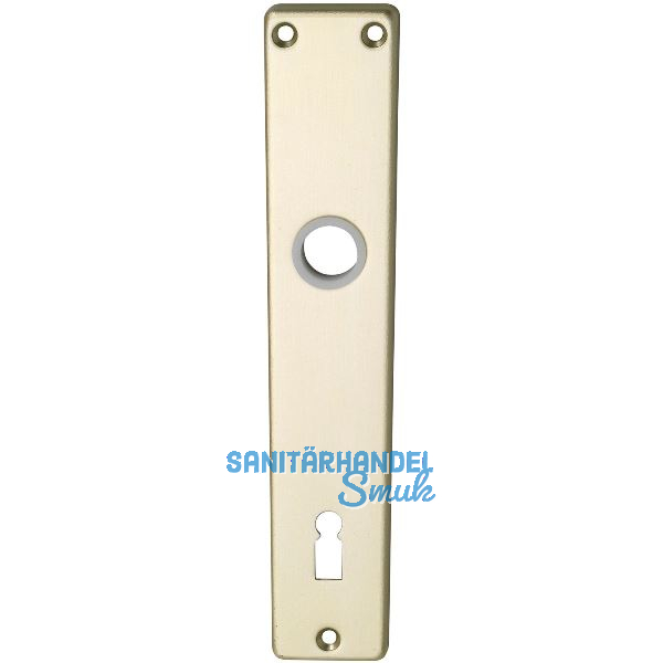 Langschild EUROPA, BB 90, neusilber eloxiert