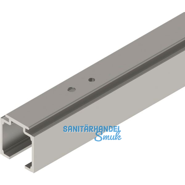 SOLIDO 100 Laufschiene auf Ma� geschnitten Edelstahl-Effekt