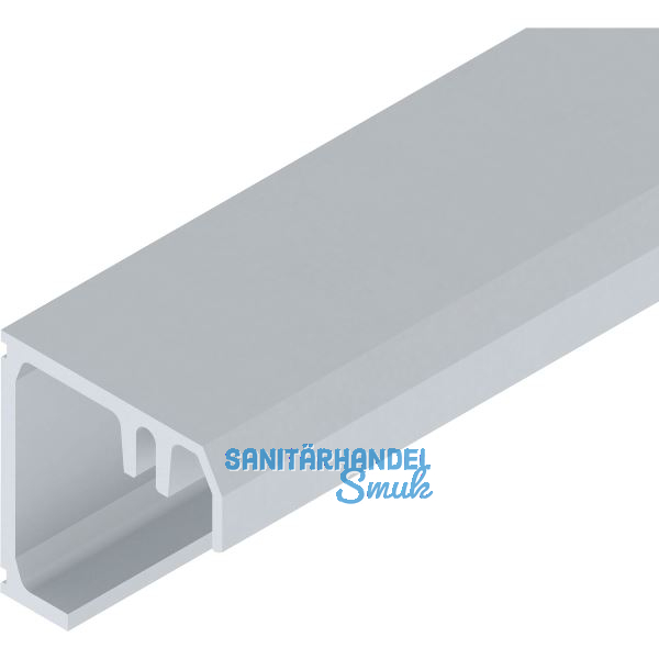 SOLIDO 100/HELM Montageprofil auf Ma� geschnitten L=6000 mm silber eloxiert