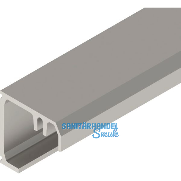 SOLIDO 100/HELM Montageprofil auf Ma� geschnitten L=6000 mm Edelstahl-Effekt