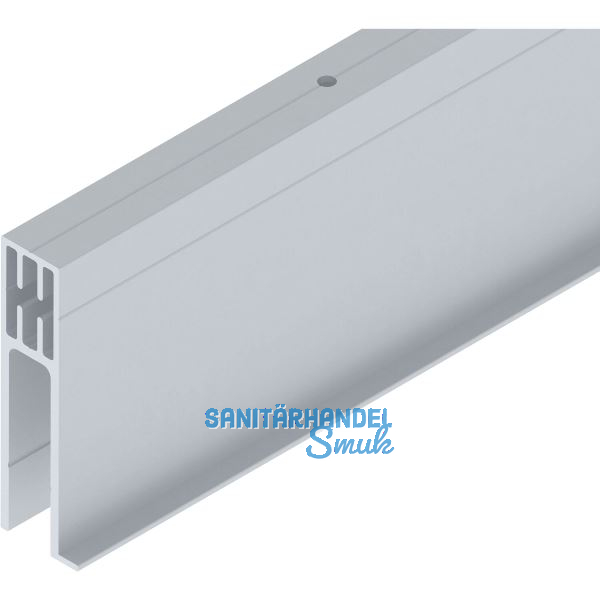 SOLIDO 100/HELM Seitenteilprofil Glas auf Ma� L=6000 mm silber eloxiert