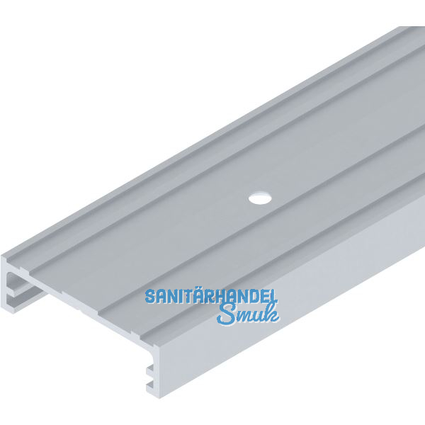 SOLIDO 100/HELM Befestigungsschiene WT Wandtasche auf Ma� silber eloxiert