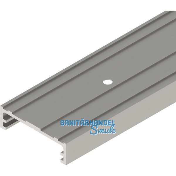 SOLIDO 100/HELM Befestigungsschiene WT Wandtasche auf Ma� Edelstahl-Effekt