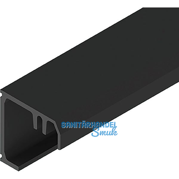 SOLIDO 100/HELM Montageprofil auf Ma� geschnitten L=6000 mm schwarz matt